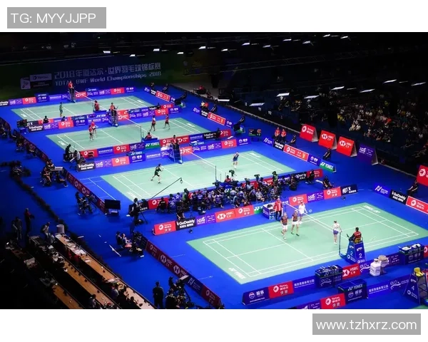 南京羽毛球队区域防守创新之路探索与实践分析